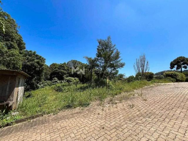 Terreno venda em Região Geográfica Imediata de Caxias do Sul, Nova Petrópolis