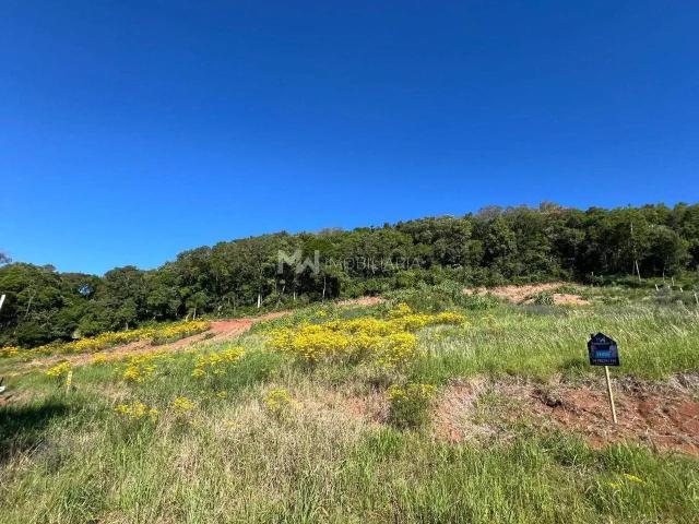 Terreno venda em Região Geográfica Imediata de Caxias do Sul, Nova Petrópolis