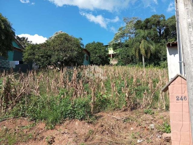 Terreno venda em Região Geográfica Imediata de Caxias do Sul, Nova Petrópolis