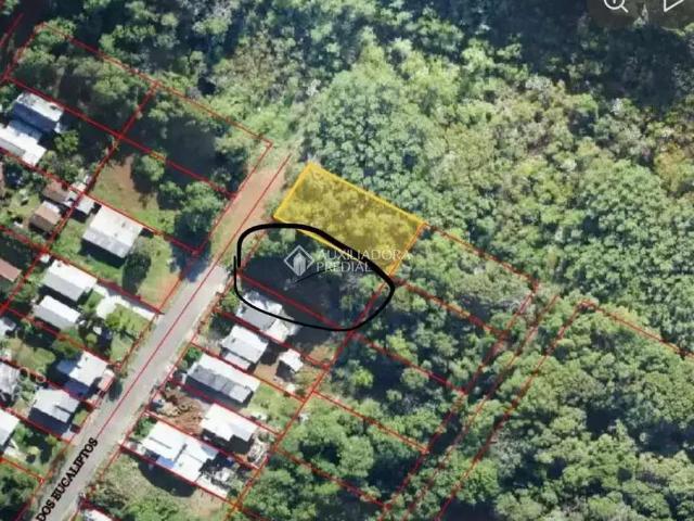 Terreno venda em Região Geográfica Imediata de Caxias do Sul, Nova Petrópolis