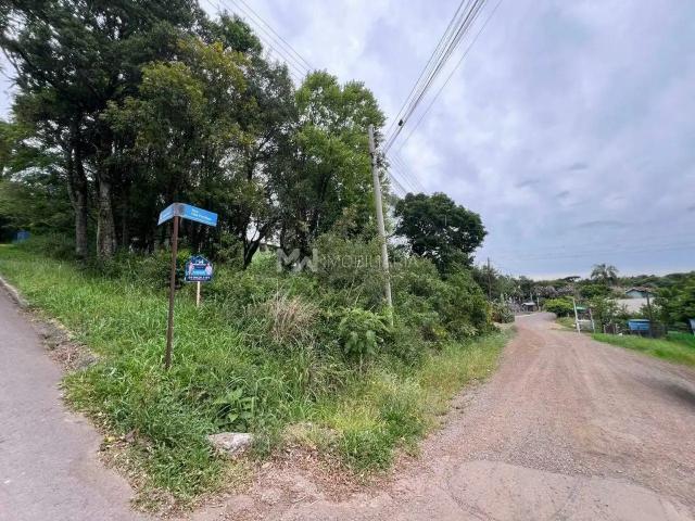 Terreno venda em Região Geográfica Imediata de Caxias do Sul, Nova Petrópolis