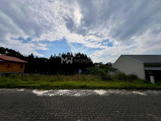 Terreno venda em Nova Petrópolis