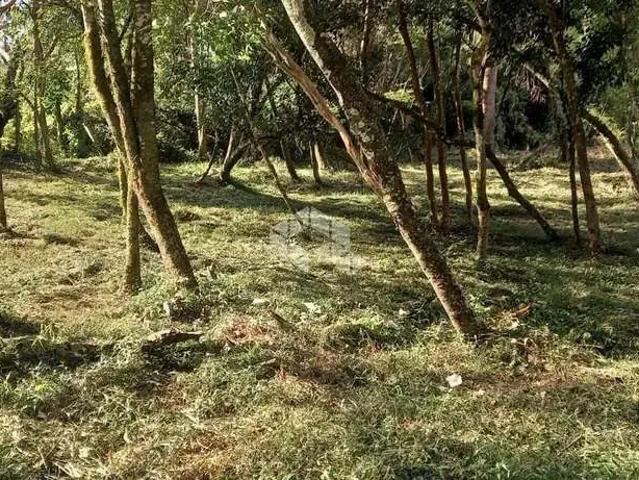 Terreno venda em Nova Petrópolis