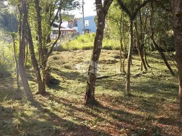 Terreno venda em Região Geográfica Imediata de Caxias do Sul, Nova Petrópolis