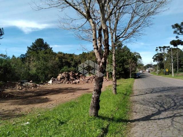 Terreno venda em Região Geográfica Imediata de Caxias do Sul, Nova Petrópolis