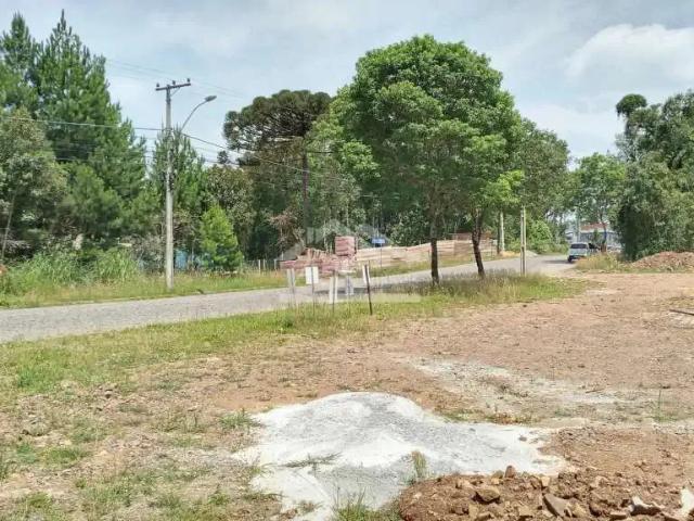 Terreno venda em Região Geográfica Imediata de Caxias do Sul, Nova Petrópolis