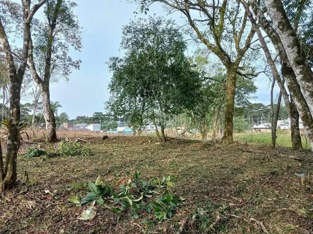 Terreno venda em Nova Petrópolis