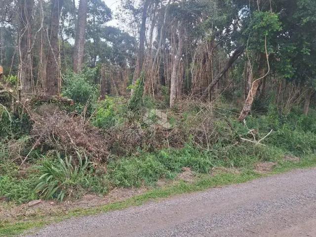 Terreno venda em Nova Petrópolis