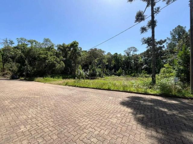 Terreno venda em Região Geográfica Imediata de Caxias do Sul, Nova Petrópolis