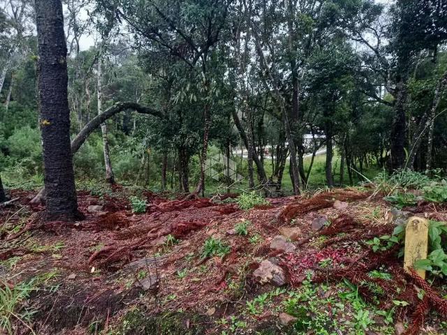 Terreno venda em Região Geográfica Imediata de Caxias do Sul, Nova Petrópolis