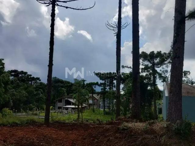 Terreno venda em Região Geográfica Imediata de Caxias do Sul, Nova Petrópolis