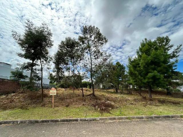 Terreno venda em Região Geográfica Imediata de Caxias do Sul, Nova Petrópolis