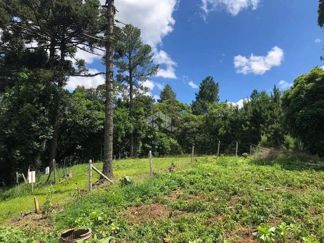 Terreno venda em Nova Petrópolis
