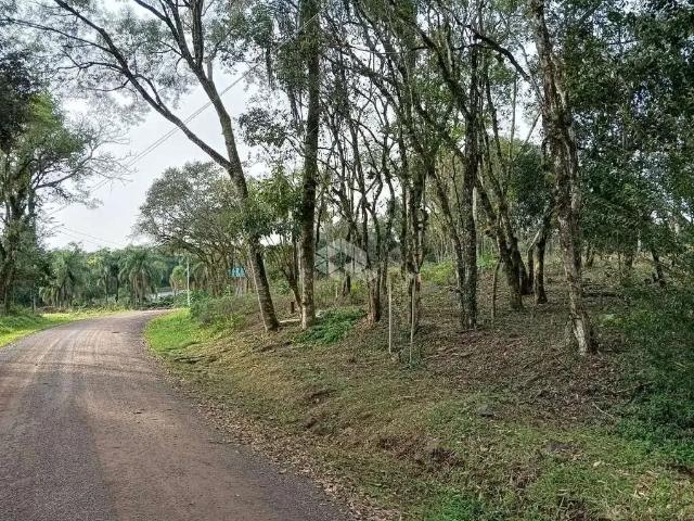 Terreno venda em Região Geográfica Imediata de Caxias do Sul, Nova Petrópolis