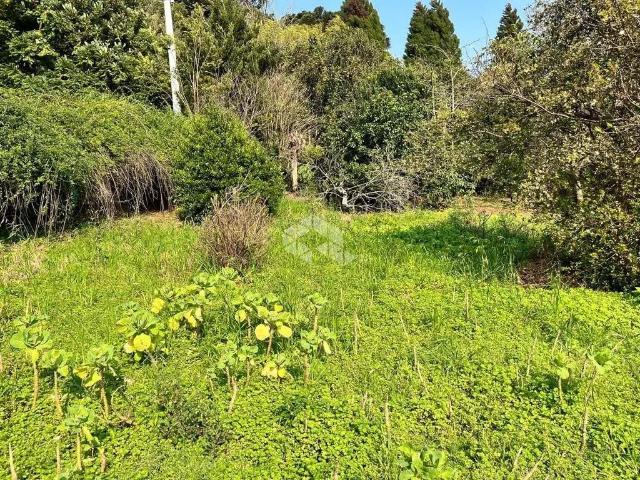 Terreno venda em Nova Petrópolis
