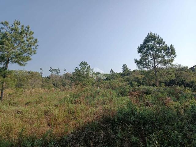 Terreno venda em Região Geográfica Imediata de Caxias do Sul, Nova Petrópolis