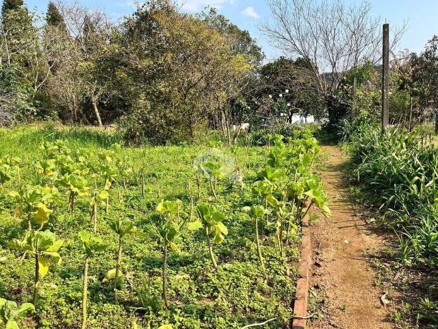 Terreno venda em Região Geográfica Imediata de Caxias do Sul, Nova Petrópolis