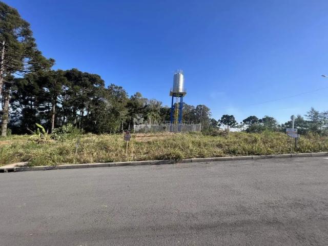 Terreno venda em Região Geográfica Imediata de Caxias do Sul, Nova Petrópolis