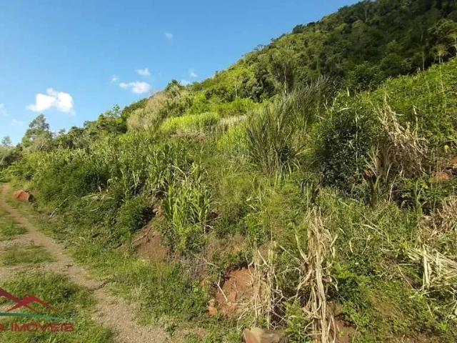 Terreno venda em Região Geográfica Imediata de Caxias do Sul, Nova Petrópolis