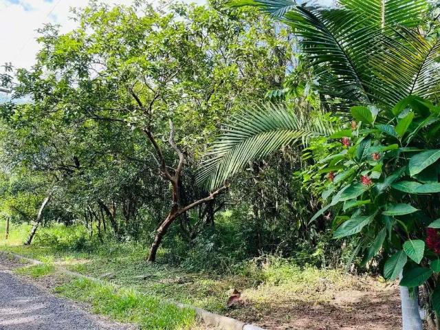 Terreno venda em Região Geográfica Imediata de Porto Alegre, Região Metropolitana de Porto Alegre
