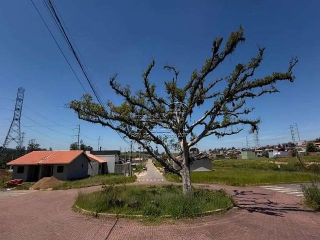 Terreno venda em Região Geográfica Imediata de Porto Alegre, Região Metropolitana de Porto Alegre