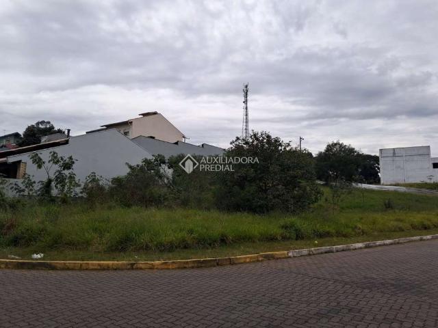 Terreno venda em Região Geográfica Imediata de Novo Hamburgo - São Leopoldo, Região Metropolitana de Porto Alegre