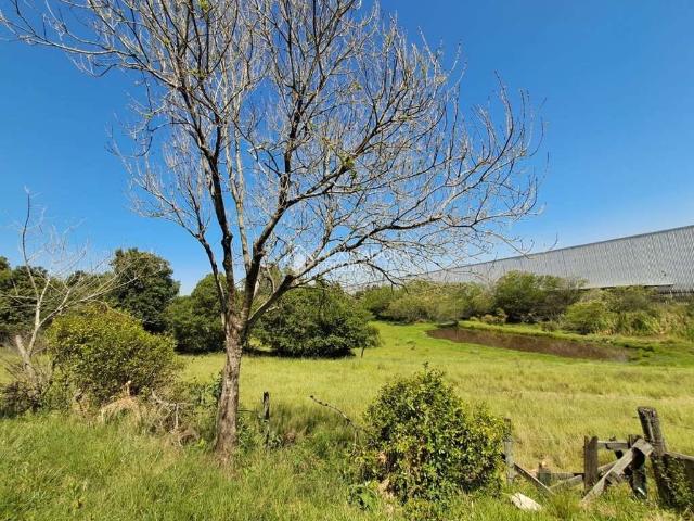 Terreno venda em Região Geográfica Imediata de Porto Alegre, Região Metropolitana de Porto Alegre