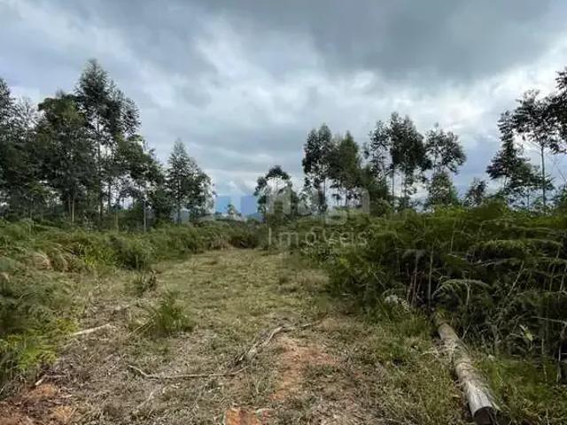 Terreno venda em Região Geográfica Imediata de Brusque, Nova Trento