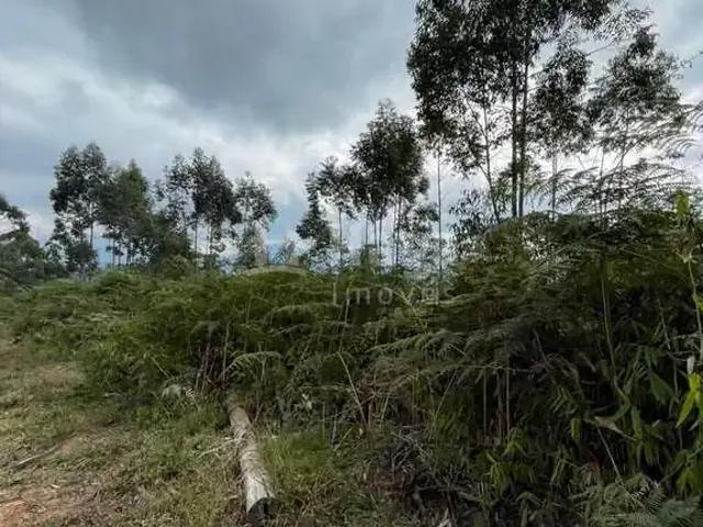 Terreno venda em Região Geográfica Imediata de Brusque, Nova Trento