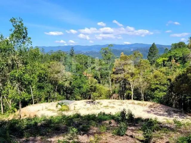 Terreno venda em Região Geográfica Imediata de Brusque, Nova Trento