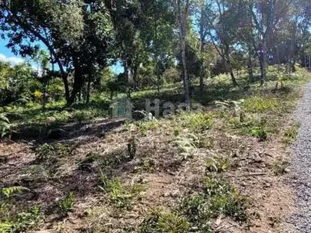 Terreno venda em Região Geográfica Imediata de Brusque, Nova Trento
