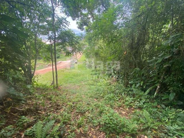 Terreno venda em Região Geográfica Imediata de Brusque, Nova Trento