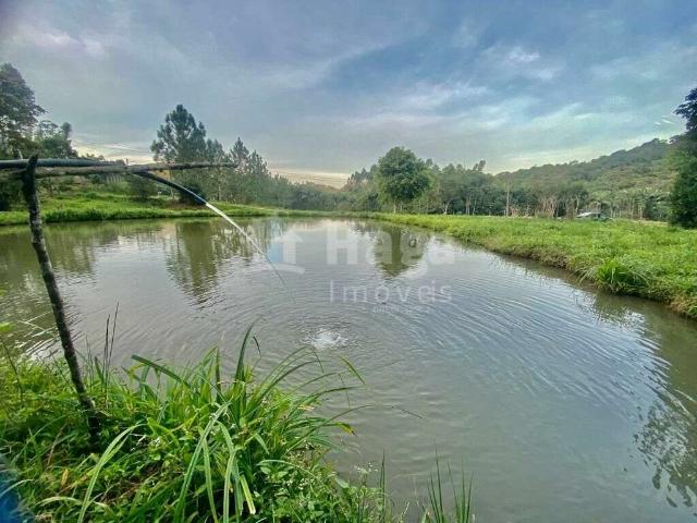 Terreno venda em Nova Trento, Claraíba