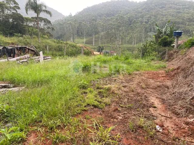 Terreno venda em Região Geográfica Imediata de Brusque, Nova Trento