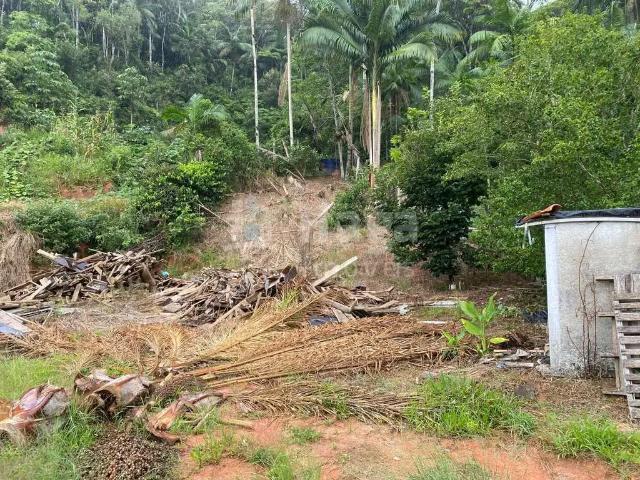 Terreno venda em Região Geográfica Imediata de Brusque, Nova Trento