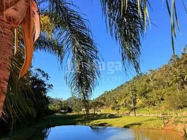 Terreno venda em Região Geográfica Imediata de Brusque, Nova Trento