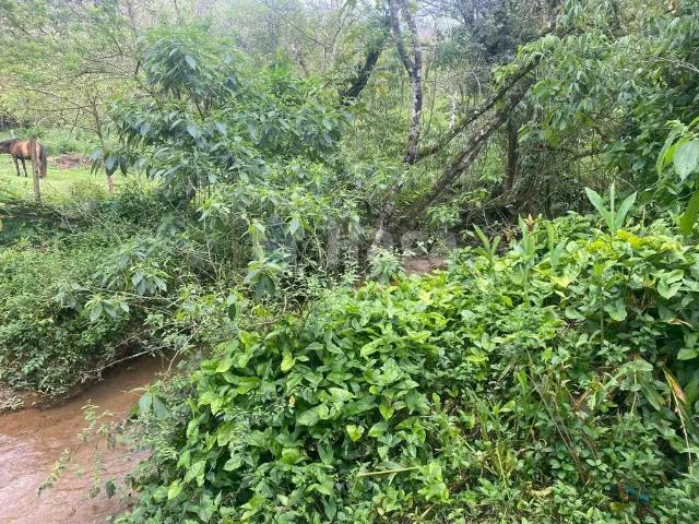 Terreno venda em Região Geográfica Imediata de Brusque, Nova Trento