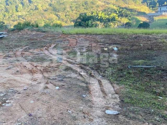 Terreno venda em Região Geográfica Imediata de Brusque, Nova Trento