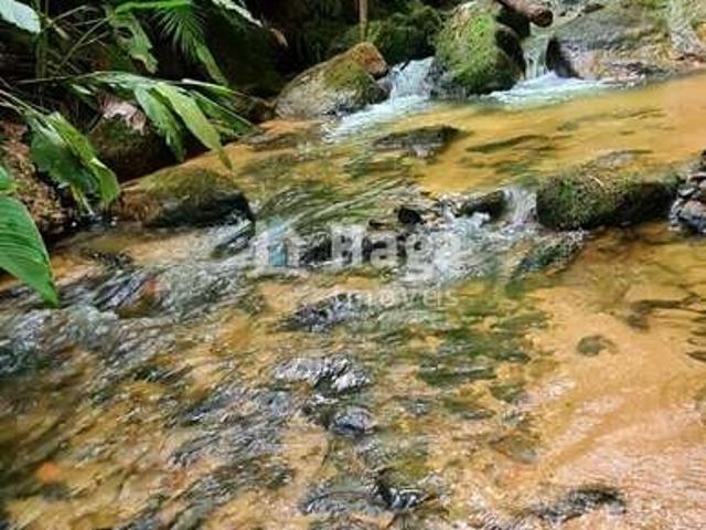 Terreno venda em Nova Trento, Vigolani