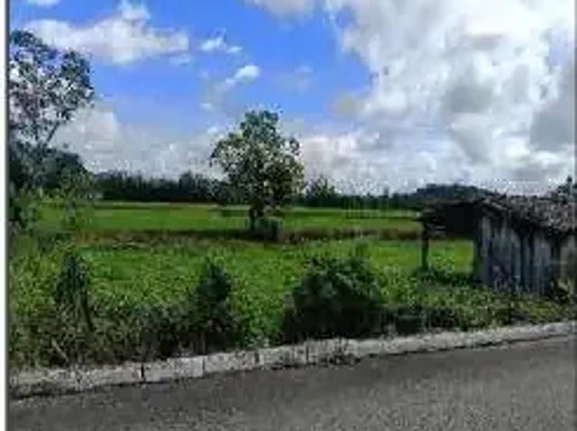 Terreno venda em Região Geográfica Imediata de Criciúma, Nova Veneza