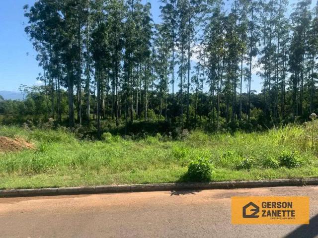 Terreno venda em Região Geográfica Imediata de Criciúma, Nova Veneza