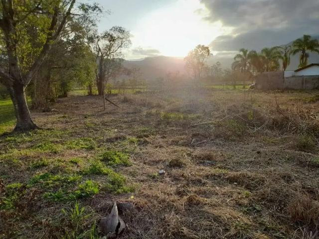 Terreno venda em Região Geográfica Imediata de Criciúma, Nova Veneza
