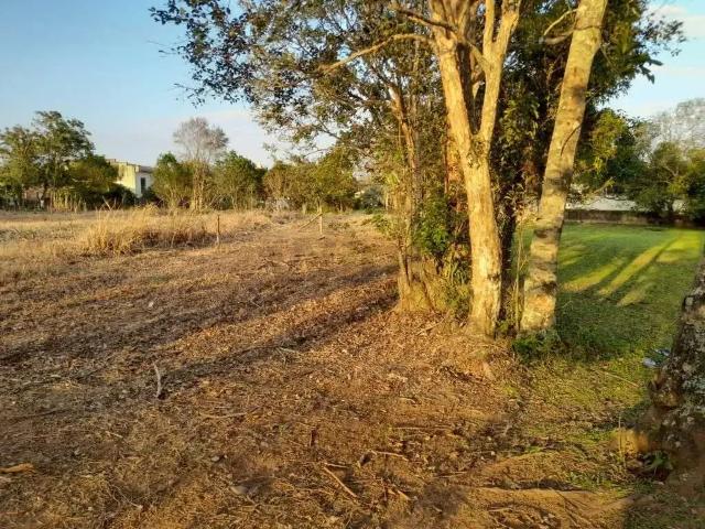 Terreno venda em Região Geográfica Imediata de Criciúma, Nova Veneza