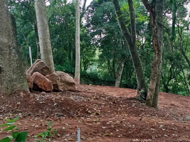 Terreno venda em Novo Hamburgo