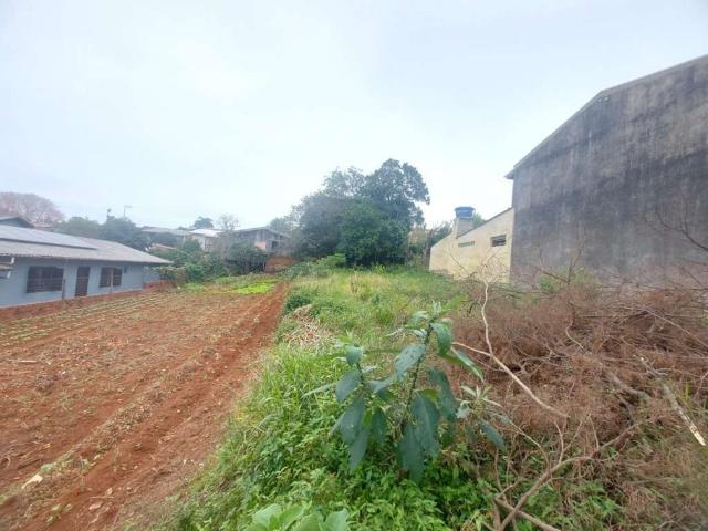 Terreno venda em Região Geográfica Imediata de Novo Hamburgo - São Leopoldo, Região Metropolitana de Porto Alegre