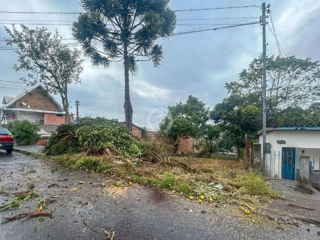 Terreno venda em Região Geográfica Imediata de Novo Hamburgo - São Leopoldo, Região Metropolitana de Porto Alegre