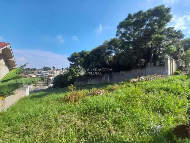 Terreno venda em Região Geográfica Imediata de Novo Hamburgo - São Leopoldo, Região Metropolitana de Porto Alegre