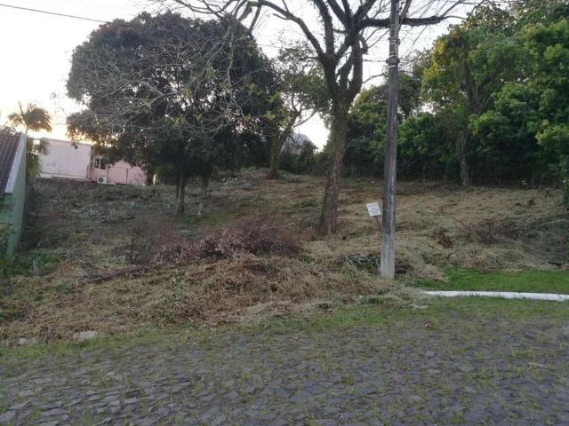 Terreno venda em Região Geográfica Imediata de Novo Hamburgo - São Leopoldo, Região Metropolitana de Porto Alegre