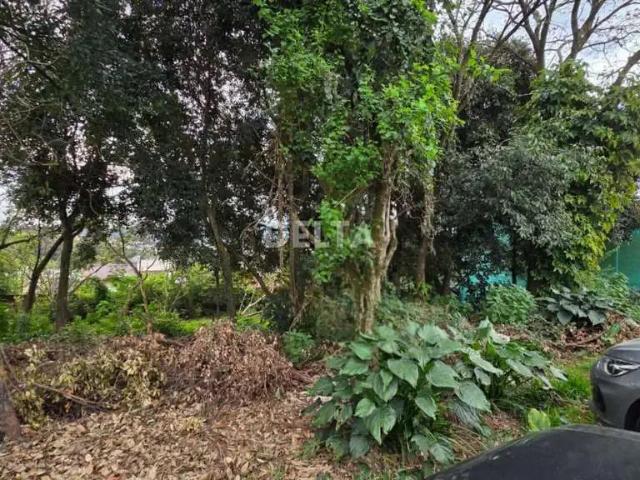 Terreno venda em Região Geográfica Imediata de Novo Hamburgo - São Leopoldo, Região Metropolitana de Porto Alegre