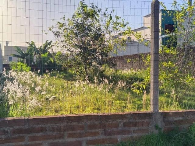 Terreno venda em Novo Hamburgo